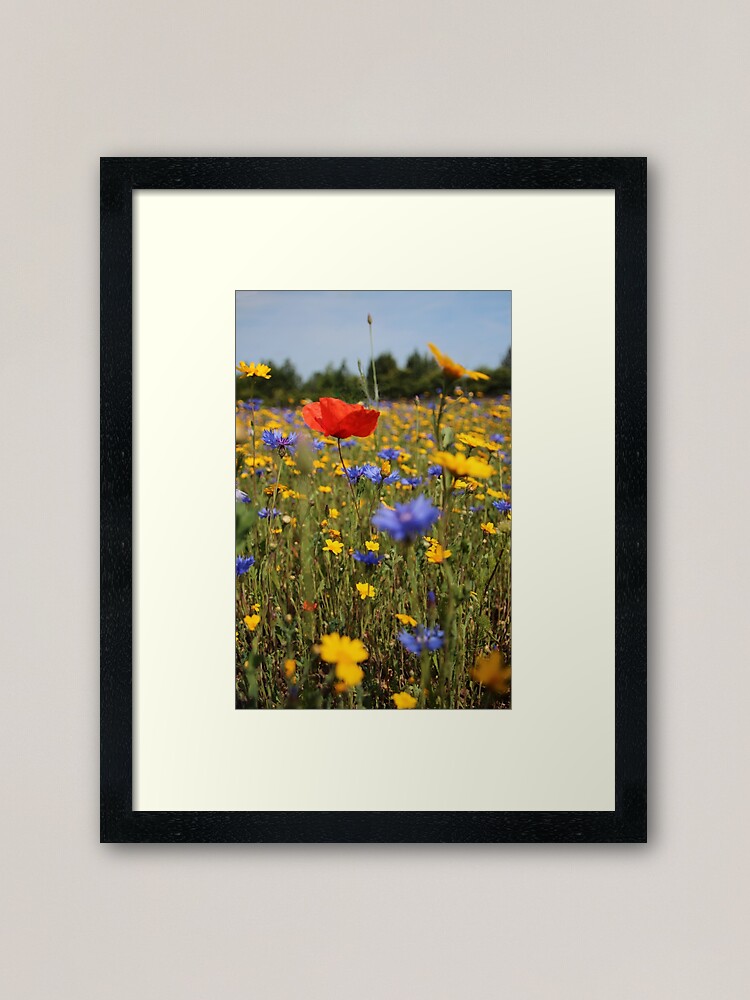 Alternate view of Wildflower meadow Framed Art Print