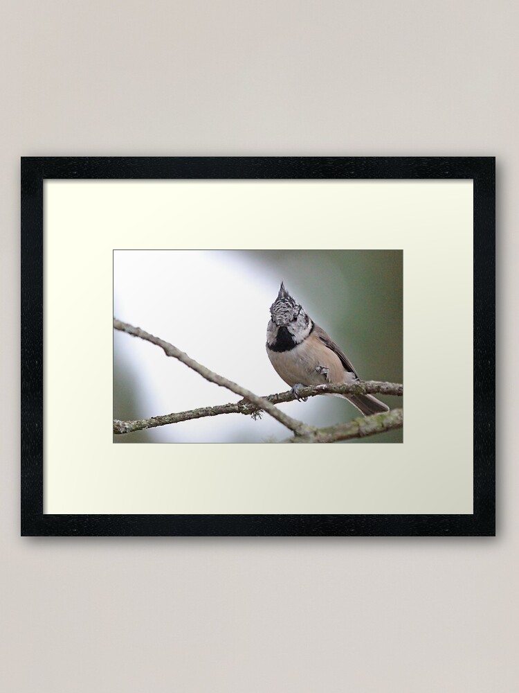 Alternate view of Crestie Framed Art Print