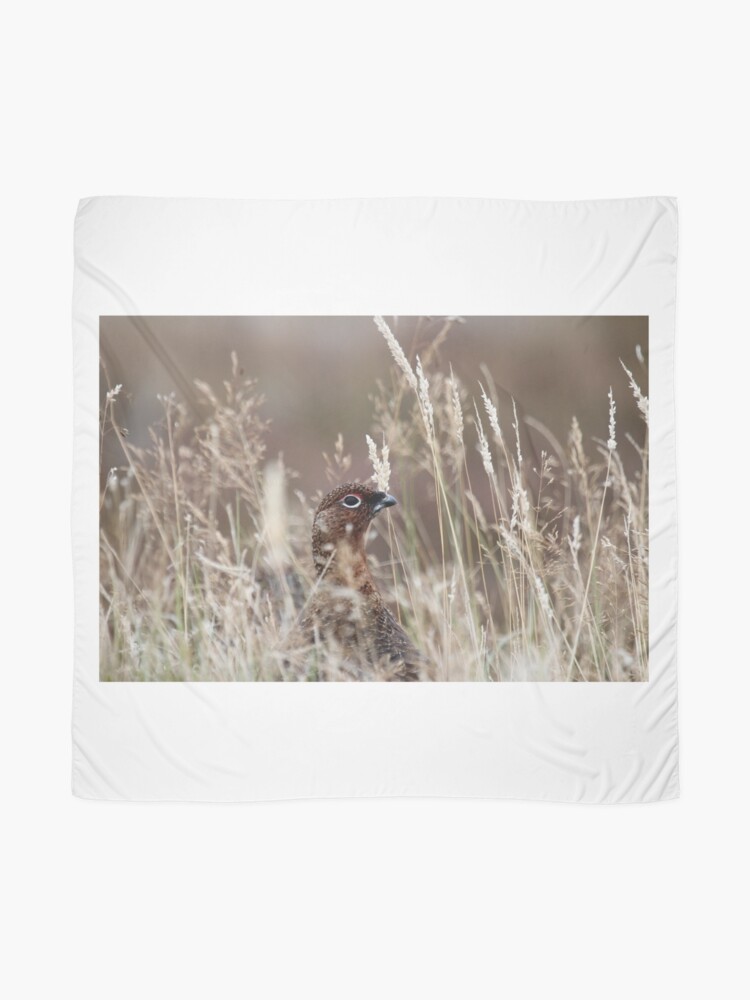 Alternate view of Grouse pose Scarf