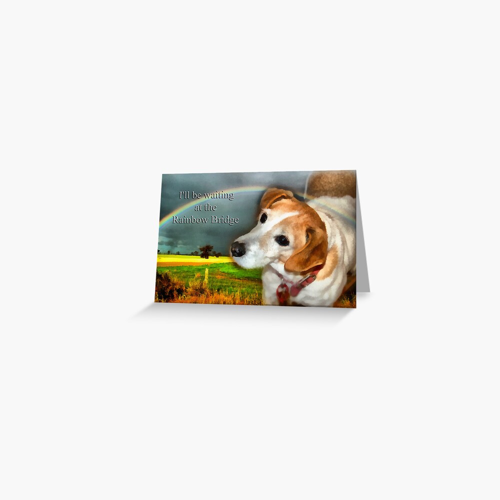 Sympathy Card For Loss Of Pet Dog Greeting Card