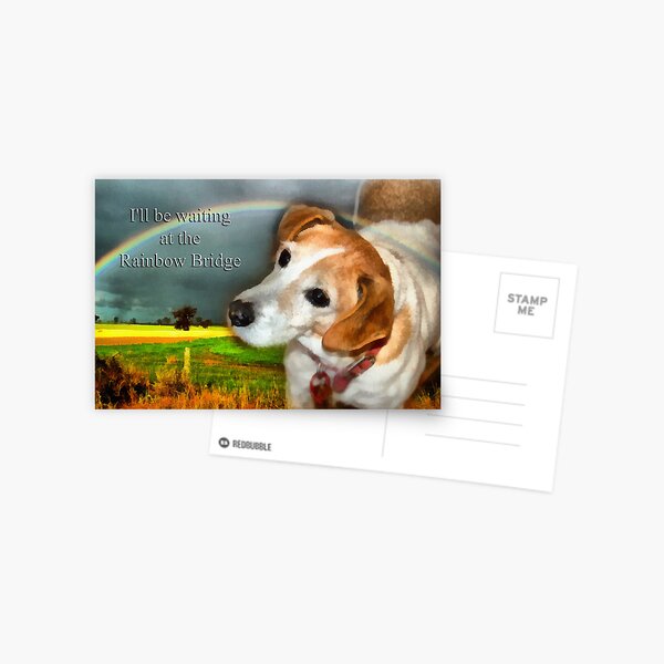 Sympathy Card For Loss Of Pet Dog Postcard
