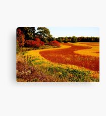Mother Nature Brush Strokes..... Canvas Print