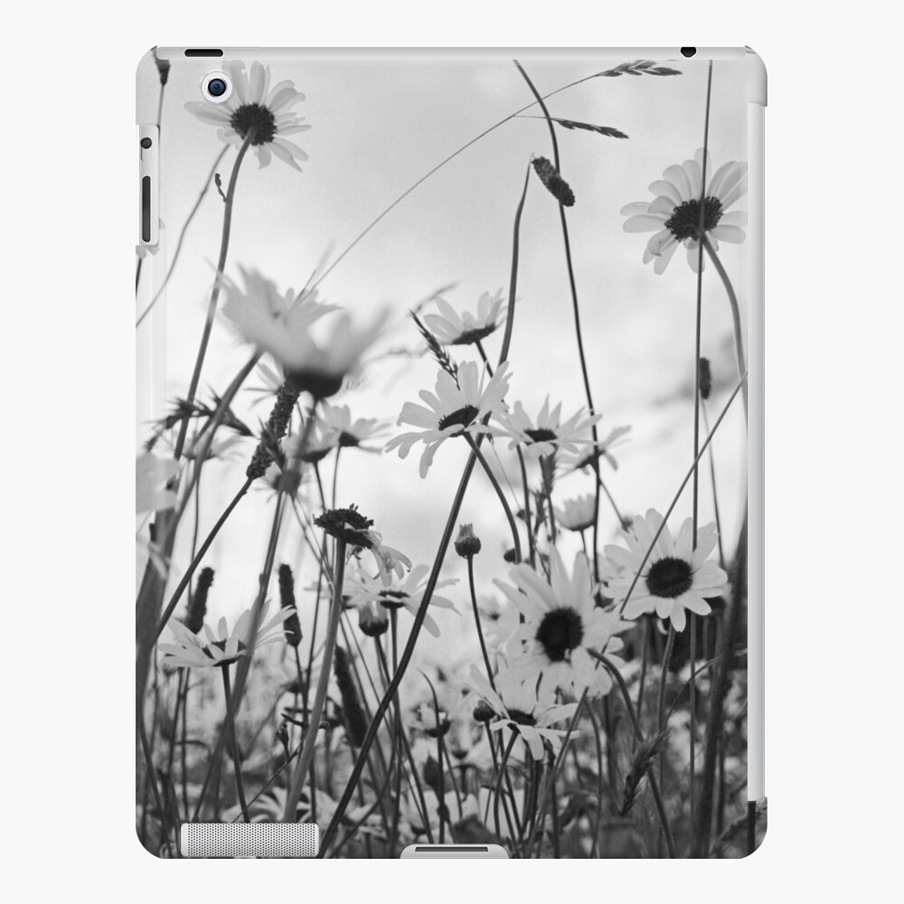 Oxeye daisies iPad Case & Skin