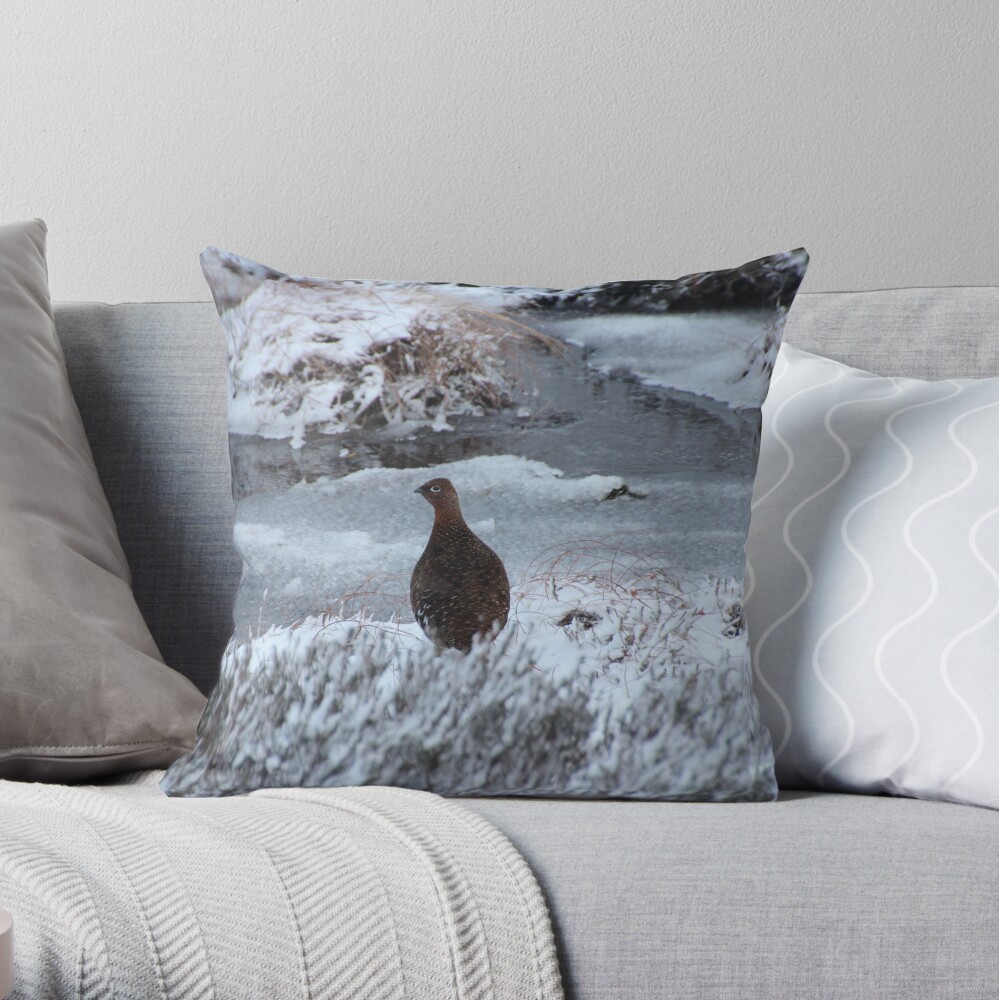 Red grouse in winter Throw Pillow