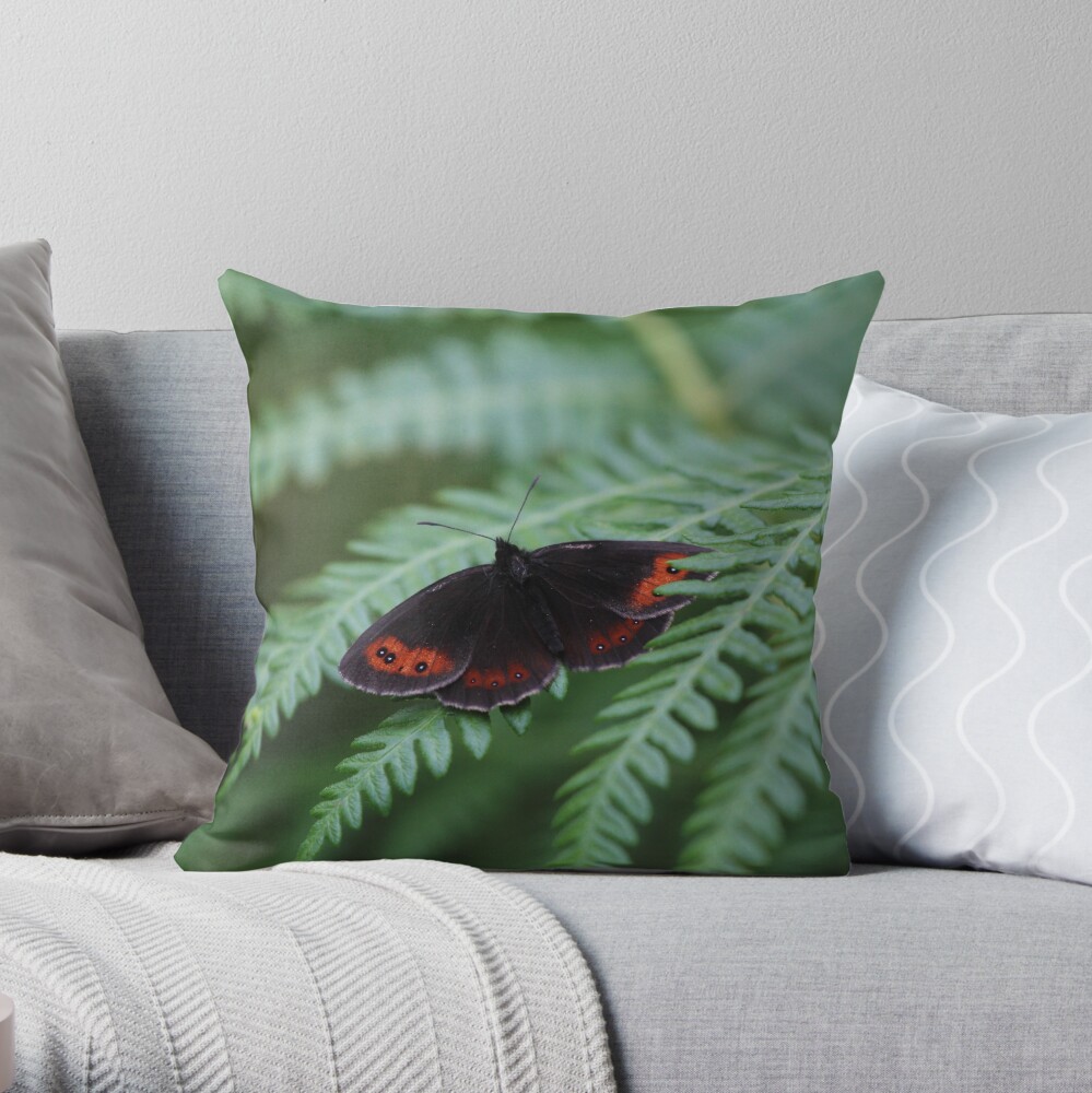Scotch Argus butterfly Throw Pillow