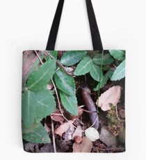 Hidden in the Leaves Tote Bag