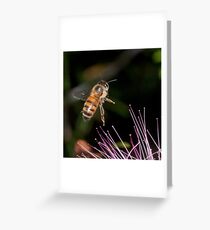 Bee in flight Greeting Card
