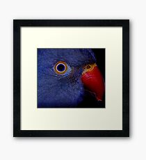 Inquisition Framed Print