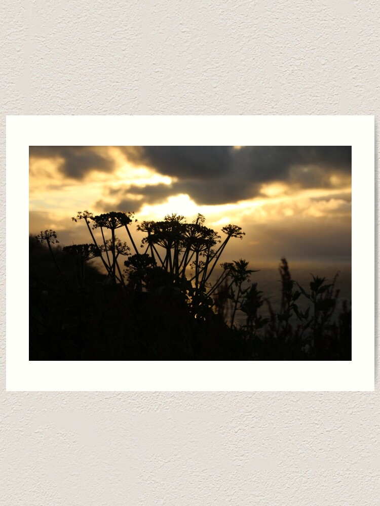 Alternate view of Sunset blossom Art Print
