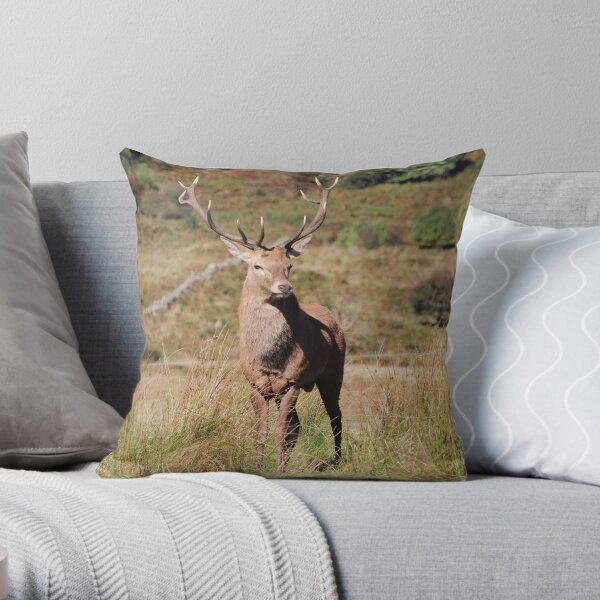 Monarch of the Glen Throw Pillow