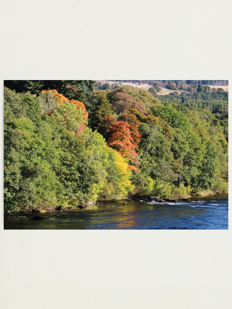 Alternate view of Gilmpses of autumn Photographic Print