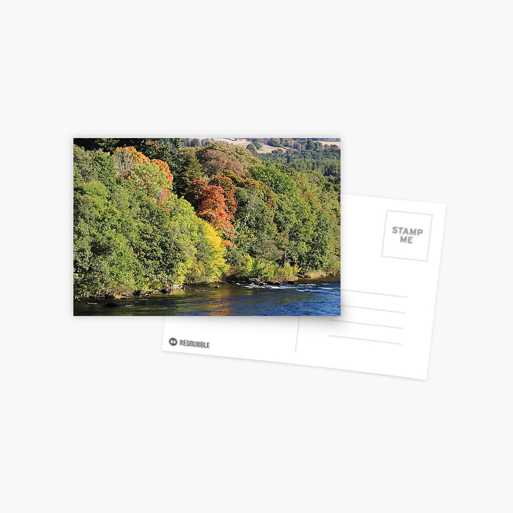 Gilmpses of autumn Postcard