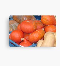 PUMPKIN READY FOR PUMPKIN-PIE Canvas Print
