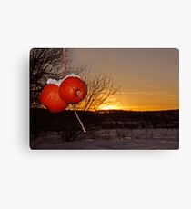 February Canvas Print