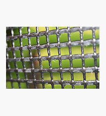 mesh Photographic Print