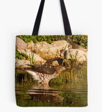 Coopers Hawk Tote Bag