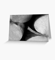 Applethorpe (STRONG SEXUAL METAPHOR) Greeting Card