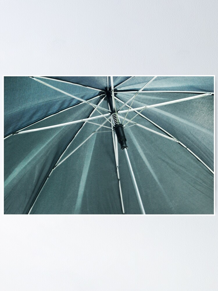 "Umbrella" Poster by LaurieMinor Redbubble