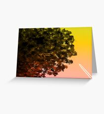 Contrast. Greeting Card
