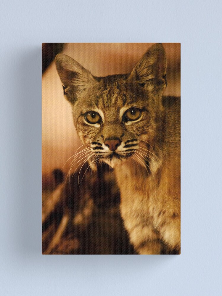 Alternate view of She saw... Canvas Print