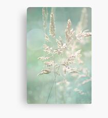Shimmer Canvas Print