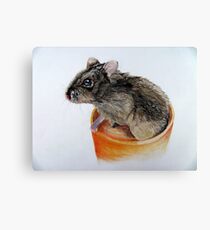Dwarf Russian Hamster Canvas Print