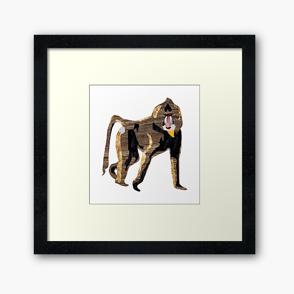 Baboon - Laudea Martin Framed Art Print