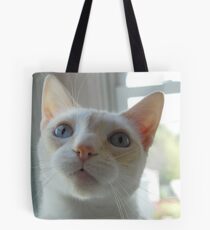Sweet Oscar Tote Bag