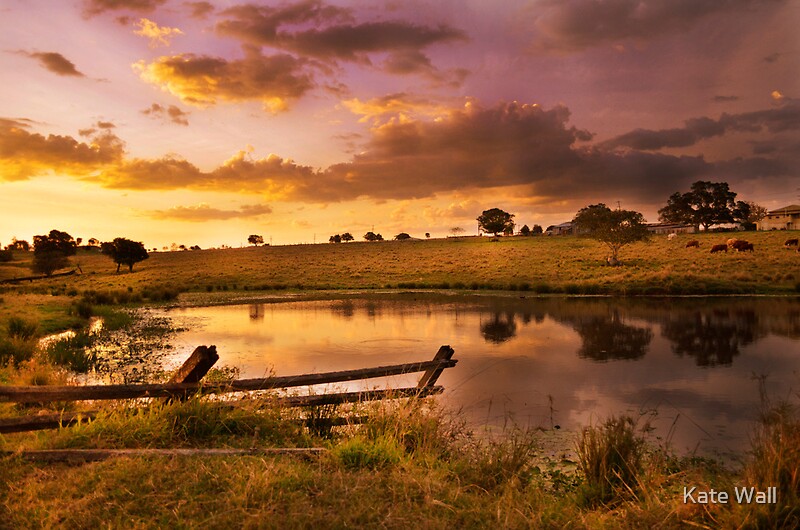 Peace in the country sunset 13618 схема