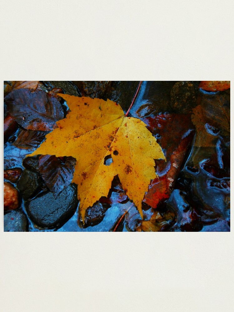 Alternate view of Carolina Blue Reflections Photographic Print