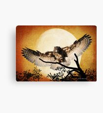 Eagle Owl And The Moon Canvas Print