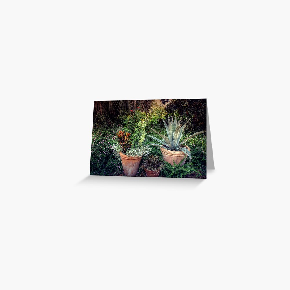 Terra Cotta Trio at Sunset Greeting Card
