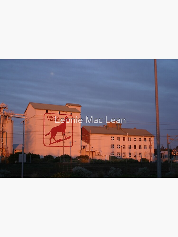 Dingo Flour Mill Fremantle Western Australia by yallmia