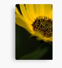 Jules Canvas Print