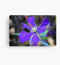 Psychedelic Canvas Print