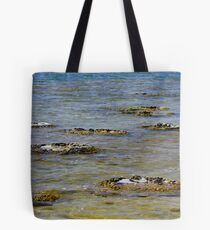One of the earliest forms of life to evolve on earth Tote Bag