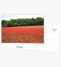 Poppy field Postcards