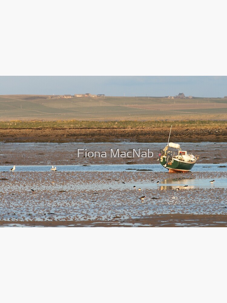Low tide by orcadia