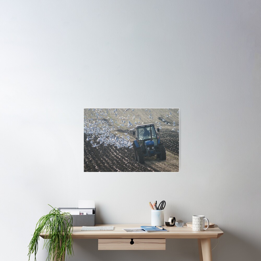Ploughing Match Poster