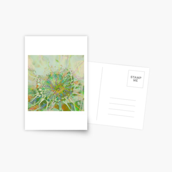 Floral abstraction Postcard