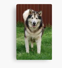 LAVEN Canvas Print
