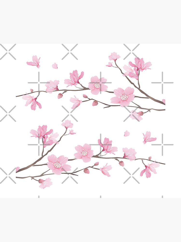 Cherry Blossom Transparent Background Duvet Cover By