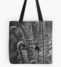 Fiddleheads 01 Tote Bag
