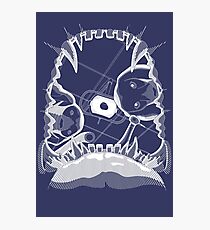 Canines Photographic Print