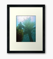 UNDERWATER ROUTE 77 ~ CEMENT WRECK Framed Print