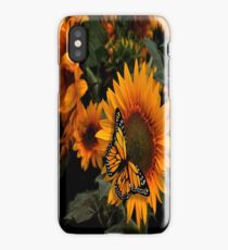 Sunflower Radiance Monarch Butterfly iPhone Case/Skin