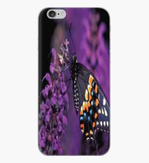 Eastern Black Butterfly iPhone Case