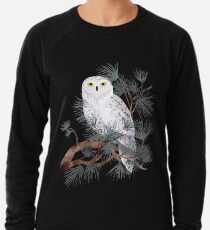 Schneebedeckt Leichter Pullover