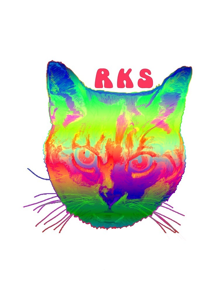 "Rainbow Kitten Surprise Cat" by O. Rae | Redbubble