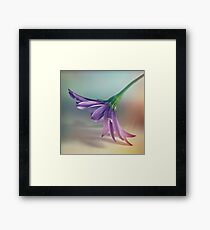 Untitled Framed Print